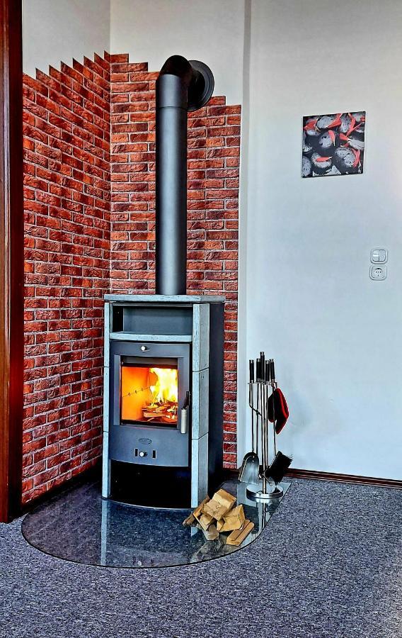 Ferienwohnung "Blick Mylau" - Naehe Freizeitpark Plohn & Weltgroesster Ziegelsteinbruecke 莱辛巴赫伊姆沃戈蒂 外观 照片