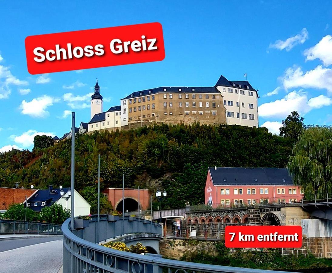 Ferienwohnung "Blick Mylau" - Naehe Freizeitpark Plohn & Weltgroesster Ziegelsteinbruecke 莱辛巴赫伊姆沃戈蒂 外观 照片