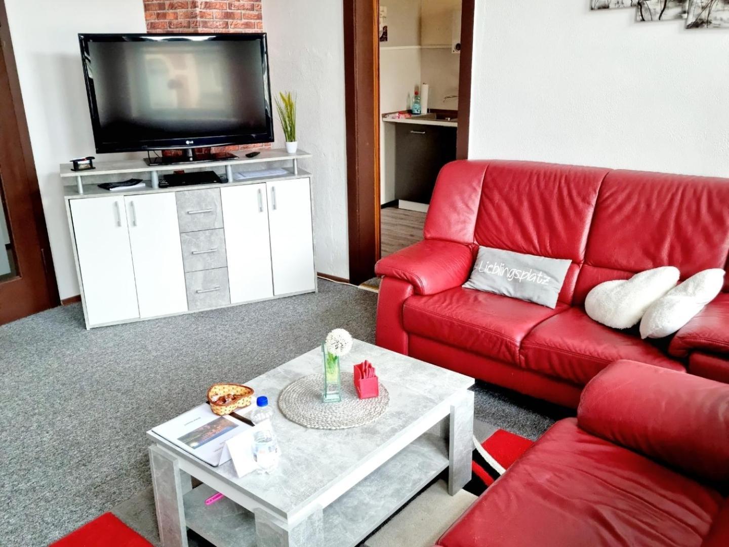 Ferienwohnung "Blick Mylau" - Naehe Freizeitpark Plohn & Weltgroesster Ziegelsteinbruecke 莱辛巴赫伊姆沃戈蒂 外观 照片
