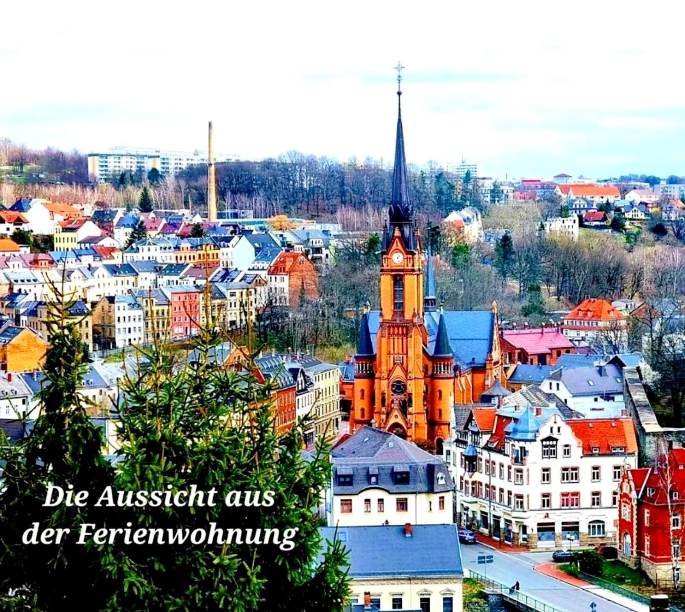 Ferienwohnung "Blick Mylau" - Naehe Freizeitpark Plohn & Weltgroesster Ziegelsteinbruecke 莱辛巴赫伊姆沃戈蒂 外观 照片