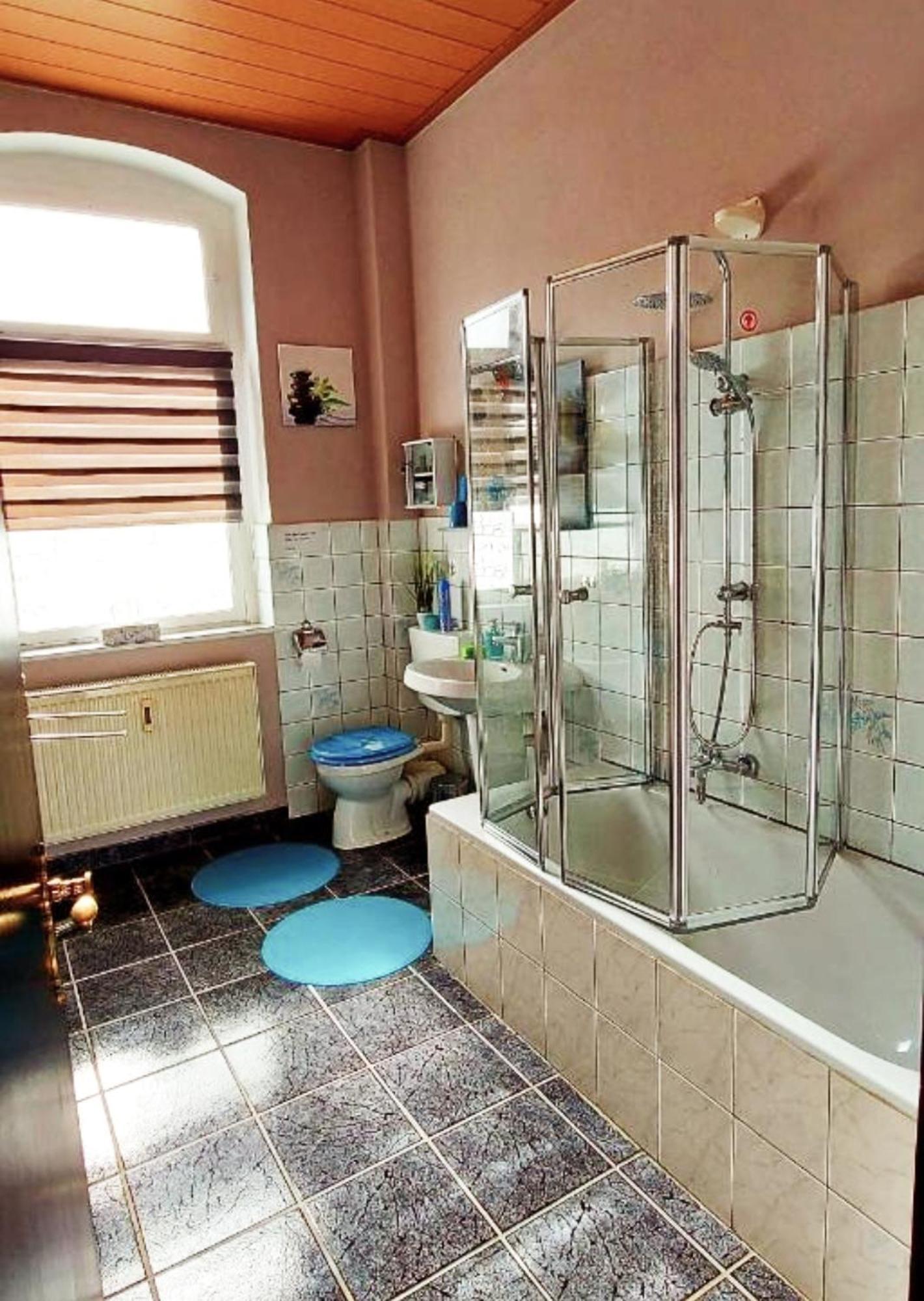 Ferienwohnung "Blick Mylau" - Naehe Freizeitpark Plohn & Weltgroesster Ziegelsteinbruecke 莱辛巴赫伊姆沃戈蒂 外观 照片